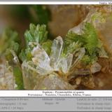 Pyromorphite and Quartz<br />Nuissière Mine, Chénelette, Thizy-les-Bourgs, Villefranche-sur-Saône, Rhône, Auvergne-Rhône-Alpes, France<br />fov 12 mm<br /> (Author: ploum)