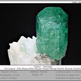 Beryl (variety emerald)<br />Peñas Blancas Mine, Municipio San Pablo de Borbur, Western Emerald Belt, Boyacá Department, Colombia<br />fov 18 mm<br /> (Author: ploum)