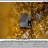 Pseudobrookite on pyroxen<br />Rothenberg, Bell, Mendig, Mayen-Koblenz District, Eifel, Rhineland-Palatinate/Rheinland-Pfalz, Germany<br />fov 1.3 mm<br /> (Author: ploum)