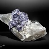 Fluorite on Quartz<br />Yaogangxian Mine, Yizhang, Chenzhou Prefecture, Hunan Province, China<br />122 x 62 mm<br /> (Author: Manuel Mesa)