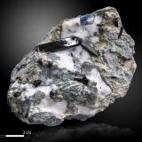 NeptuniteMina California State Gem (Benitoite Gem Mine), Zona San Benito River headwaters, Pico Santa Rita, Distrito New Idria, Condado San Benito, California, USA80 X 61 mm (Author: Manuel Mesa)