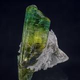 Elbaite, Albite<br />Chhappu, Shigar District, Gilgit-Baltistan (Northern Areas), Pakistan<br />4.7 x 3.2 cm<br /> (Author: am mizunaka)