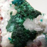 Dioptase and Malachite<br />Tsumeb Mine, Tsumeb, Otjikoto Region, Namibia<br />35mm x 70mm x 70mm<br /> (Author: Heimo Hellwig)