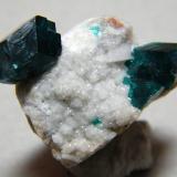 Dioptase<br />Tsumeb Mine, Tsumeb, Otjikoto Region, Namibia<br />30mm x 26mm x 30mm<br /> (Author: Heimo Hellwig)