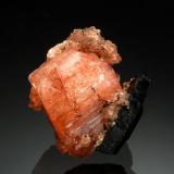 SeranditeCantera Poudrette, Mont Saint-Hilaire, La Vallée-du-Richelieu RCM, Montérégie, Québec, Canadá1.5 x 1.8 cm (Author: crosstimber)