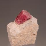 Beryl (variety red beryl)<br />Ruby Violet Claims, Wah Wah Mountains, Beaver County, Utah, USA<br />57mm x 53mm x 37mm<br /> (Author: Don Lum)