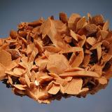 Gypsum<br />Little Beaver Creek, Marlow, Stephens County, Oklahoma, USA<br />7.0 x 12.0 cm<br /> (Author: crosstimber)