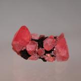 RhodochrositeMina Uchucchacua, Provincia Oyón, Departamento Lima, Perú33mm x 22mm x 24mm (Author: Don Lum)