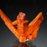 Crocoite<br />Adelaide Mine, Dundas mineral field, Zeehan District, West Coast Council, Tasmania, Australia<br />2.3 x 2.9 cm<br /> (Author: crosstimber)