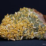 Wulfenite, Mimetite, limonite<br />Ojuela Mine, Mapimí, Municipio Mapimí, Durango, Mexico<br />16 x 12 x 6 centimeters<br /> (Author: Ricardo Melendez)