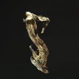 SilverDepósito Sarbai, Rudny, Región Kostanay, Kazajstán1.0 x 2.2 cm (Author: crosstimber)