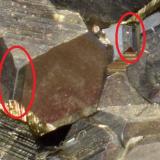 Pirita<br />Mina Huanzala, Distrito Huallanca, Provincia Dos de Mayo, Departamento Huánuco, Perú<br />8 x 4 x 2,5 cm<br /> (Autor: Antonio Alcaide)