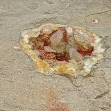 Calcite on DolomiteAfloramientos Carretera Estatal 56, Canton, Condado Washington, Indiana, USAgeode is about 18 cm   calcites are 6 - 7 cm (Author: Bob Harman)