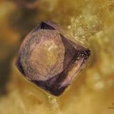 Fluorita<br />Distrito Namakwa (Namaqualand), Provincia Septentrional del Cabo, Sudáfrica<br />3,5 x 3 x 1 cm<br /> (Autor: Antonio Alcaide)