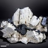 Schorl on OrthoclaseAmeib Farm 60 (Ameib Farm), Usakos, Karibib District, Erongo Region, Namibia97 X 90 mm (Author: Manuel Mesa)