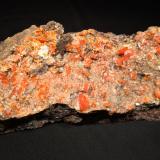 WulfeniteMina Red Cloud, Montes Trigo, Distrito Silver, Condado La Paz, Arizona, USA263 mm x 80 mm x 57 mm (Author: Robert Seitz)