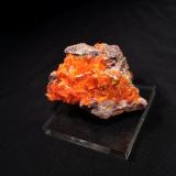 Wulfenite<br />Rowley Mine, Theba, Painted Rock District, Painted Rock Mountains, Maricopa County, Arizona, USA<br />55 mm x 50 mm x 40 mm<br /> (Author: Robert Seitz)