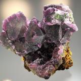 Fluorite<br />Cookes Peak District, Luna County, New Mexico, USA<br />14.8 x 12.7<br /> (Author: Philip Simmons)