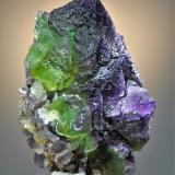 FluoriteCookes Peak District, Luna County, New Mexico, USA8.9 x 6.8 (Author: Philip Simmons)