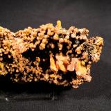 Mimetite, WulfeniteSan Francisco Mine, Cerro Prieto, Cucurpe, Municipio Cucurpe, Sonora, Mexico115 mm x 60 mm x 45 mm (Author: Robert Seitz)