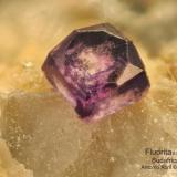 Fluorita<br />Distrito Namakwa (Namaqualand), Provincia Septentrional del Cabo, Sudáfrica<br />FOV = 1,5 mm<br /> (Autor: Antonio Alcaide)