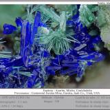 Azurite, Mixite and Conichalcite<br />Centennial Eureka Mine (Blue Rock), Eureka, Tintic District, East Tintic Mountains, Juab County, Utah, USA<br />fov 3.5 mm<br /> (Author: ploum)