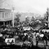 Ore teams and more in Idaho Springs, Colorado, 1894. (Author: vic rzonca)