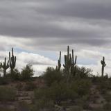 _And the clouds gather over the dusty trail east of the Tortilla Mountains. (Author: vic rzonca)