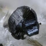 Clorita, Moscovita, CuarzoQuarries on gneiss, Arvigo, Calanca Valley, Mesolcina Valley, Grischun (Grisons; Graubünden), SwitzerlandCampo de visión 2 mm (Autor: Juan Miguel)
