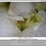 Agardite (Series) on Fluorite<br />Clara Mine, Rankach Valley, Oberwolfach, Wolfach, Black Forest, Baden-Württemberg, Germany<br />fov 3.5 mm<br /> (Author: ploum)