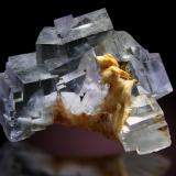 Fluorita<br />La Cabaña, Valdelmar, zona minera de Berbes, Berbes, Ribadesella, Comarca Oriente, Principado de Asturias (Asturias), España<br />85 x 60mm, cristales hasta 30mm<br /> (Autor: Raul Vancouver)