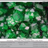 Uvarovite<br />Saranovskii Mine, Saranovskaya (Sarany), Gornozavodskii, Perm Krai, Ural, Russia<br />fov 3.5 mm<br /> (Author: ploum)