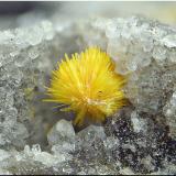 KasolitaSan Rafael Mine, Cardeña, Comarca Los Pedroches, Córdoba, Andalusia, SpainCampo de visión de 2 mm. (Autor: Antonio Carmona)