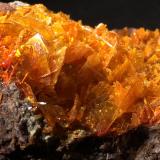 Wulfenite, Mimetite<br />Rowley Mine, Theba, Painted Rock District, Painted Rock Mountains, Maricopa County, Arizona, USA<br />245 mm x 155 mm x 95 mm<br /> (Author: Robert Seitz)