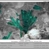 Dioptase on Calcite<br />Christmas Mine, Christmas, Banner District, Dripping Spring Mountains, Gila County, Arizona, USA<br />fov 2.6 mm<br /> (Author: ploum)