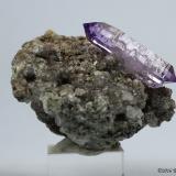 Quartz (variety amethyst)<br />Cerro de la Concordia, Piedra Parada (Las Vigas), Municipio Tatatila, Veracruz (Veracruz de Ignacio de la Llave), Mexico<br />5 x 4.2 x 3.3 centimeters<br /> (Author: Ricardo Melendez)