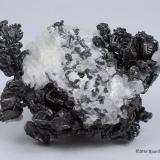 Acanthite, Calcite, GoldProaño Mine, Fresnillo de González Echeverría (Fresnillo), Municipio Fresnillo, Zacatecas, Mexico4.7 x 3.5 x 2 centimeters (Author: Ricardo Melendez)