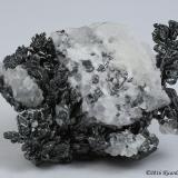 Acanthite, Calcite, GoldProaño Mine, Fresnillo de González Echeverría (Fresnillo), Municipio Fresnillo, Zacatecas, Mexico4.7 x 3.5 x 2 centimeters (Author: Ricardo Melendez)