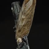 Quartz (variety smoky quartz), Aegirine, Albite<br />Mount Malosa, Zomba District, Malawi<br />9.0 x4.1 cm<br /> (Author: am mizunaka)