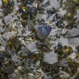 Quartz, Pyrite<br />Oppu Mine, Nishimeya-mura, Nakatsugaru District, Aomori Prefecture, Tohoku Region, Honshu Island, Japan<br /><br /> (Author: am mizunaka)