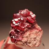 Cuprite<br />Milpillas Mine, Cuitaca, Municipio Santa Cruz, Sonora, Mexico<br />48mm x 45mm x 23mm<br /> (Author: Don Lum)