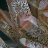 Quartz, Hematite<br />Lechang Mine, Lechang, Shaoguan Prefecture, Guangdong Province, China<br /><br /> (Author: am mizunaka)