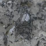 Quartz, Hematite<br />Cornwall, England / United Kingdom<br /><br /> (Author: am mizunaka)