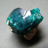 Dioptase<br />Tsumeb Mine, Tsumeb, Otjikoto Region, Namibia<br />20mm x 14mm x 20mm<br /> (Author: Heimo Hellwig)