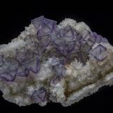 Fluorite, Quartz<br />Homestake-Jack Pot Mine, Black Mountains, Oatman District-San Francisco District, Mohave County, Arizona, USA<br />9.8 x 5.6 cm<br /> (Author: am mizunaka)