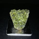Olivino (Grupo)<br />Volcán del Puig de la Banya del Boc, Llorà, Sant Martí de Llémena, Comarca Gironès, Gerona / Girona, Cataluña / Catalunya, España<br />3cm x 3cm<br /> (Autor: srm13151)