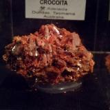 Crocoita<br />Mina Adelaide, Campo minero Dundas, Distrito Zeehan, Consejo Costa Oeste, Tasmania, Australia<br />5cm x 3cm<br /> (Autor: srm13151)