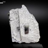 Elbaite<br />Stak Nala, Haramosh Mountains, Skardu District, Gilgit-Baltistan (Northern Areas), Pakistan<br />86 x 65 mm<br /> (Author: Manuel Mesa)