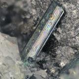 Chalcoestibita (Calcoestibita)El Vagón Mine (Tío Seguro Mine), Lanteira, Comarca Guadix, Granada, Andalusia, SpainFOV = 1,5 x 1 mm (Autor: Antonio Alcaide)