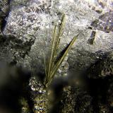 Millerita sobre NiquelskutteruditaCala Mines, Cala, Comarca Sierra de Huelva, Huelva, Andalusia, SpainCampo de visión de 1,6 mm (Autor: Antonio Carmona)